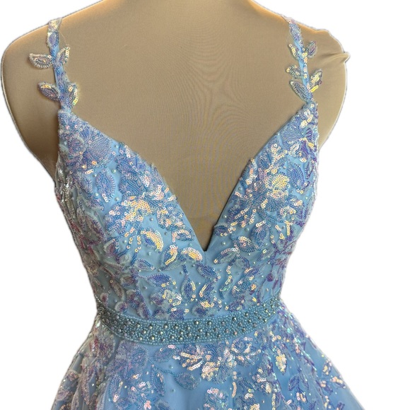 EUC Amarra Tulle and Leaf Lace Embroidered Ball Gown - Picture 2 of 12